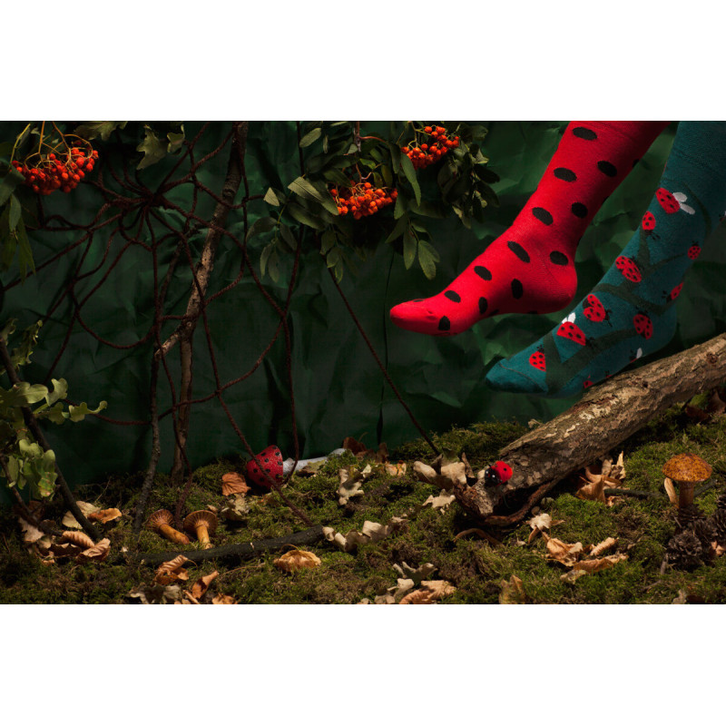 Kolorowe skarpetki - Dots and Bugs