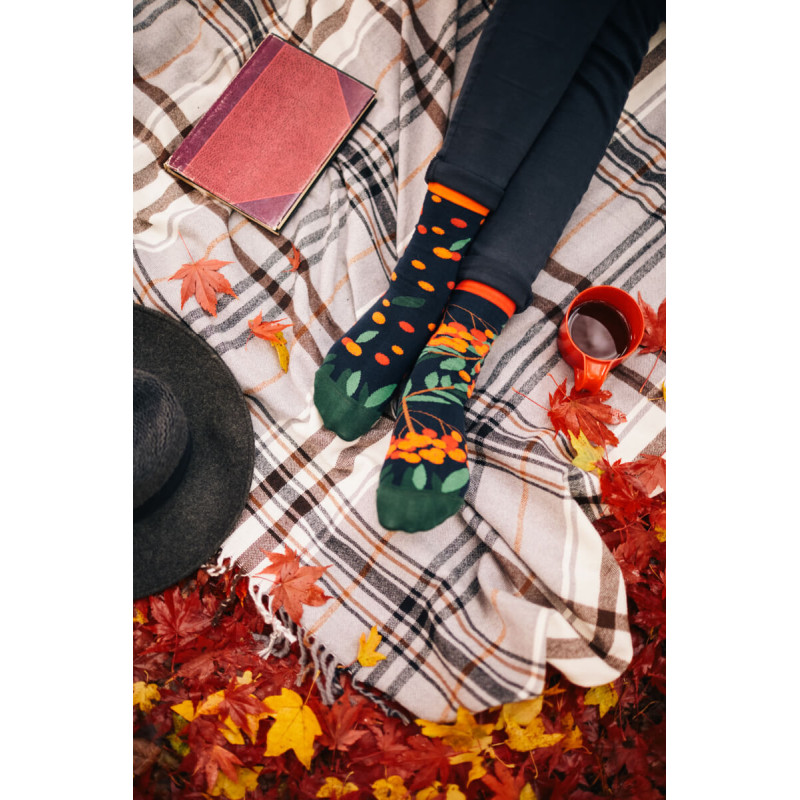 Kolorowe skarpetki - Rowan Berries
