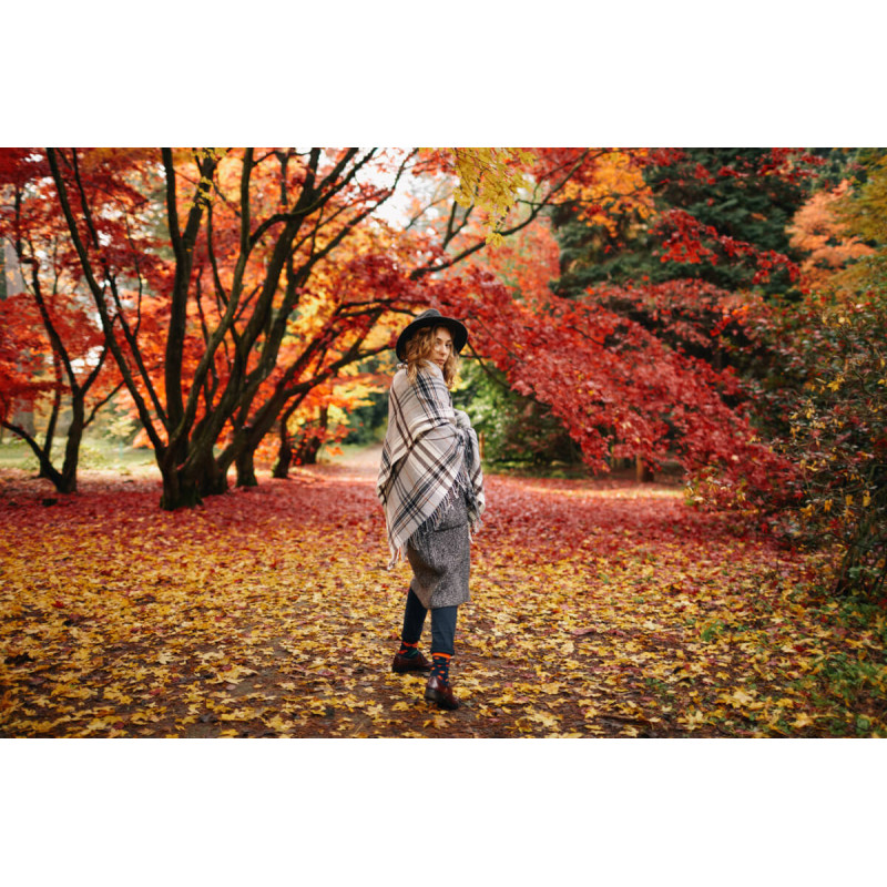 Kolorowe skarpetki - Rowan Berries