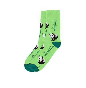 Kolorowe skarpetki - Pandzia