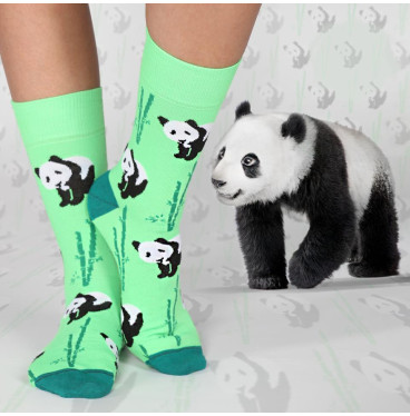 Kolorowe skarpetki - Pandzia