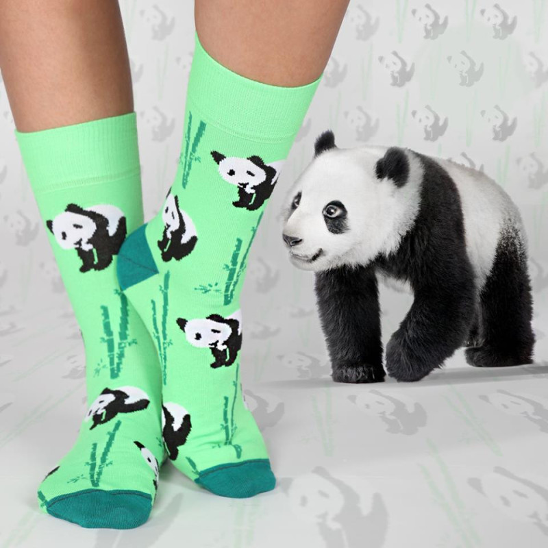 Kolorowe skarpetki - Pandzia Kolorowe skarpetki - Pandzia