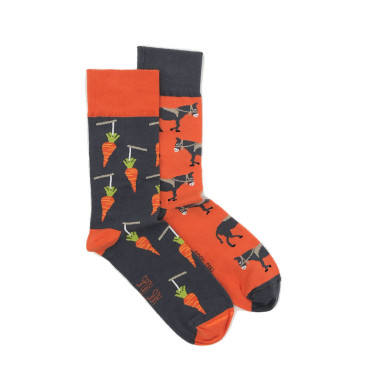 Kolorowe skarpetki - Uparty jak osioł