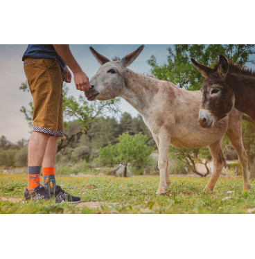 Kolorowe skarpetki - Uparty jak osioł