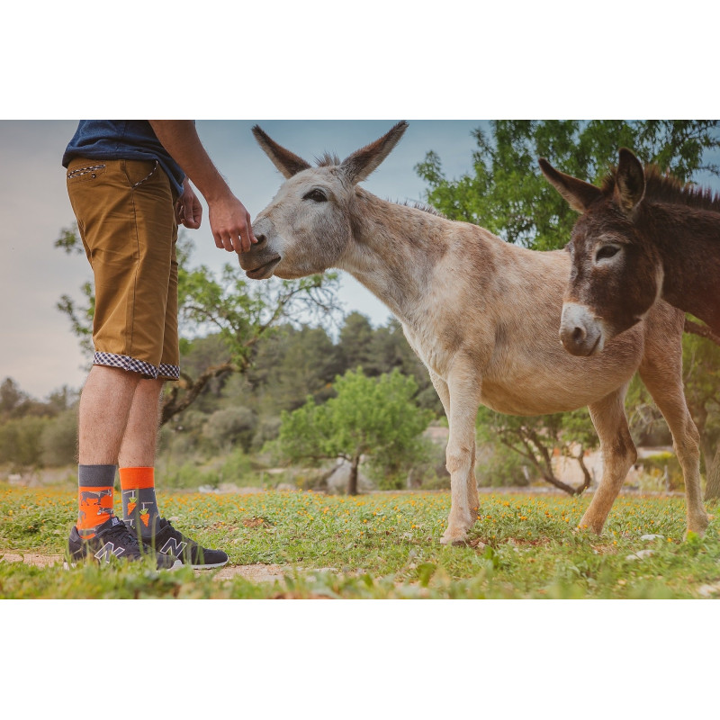 Kolorowe skarpetki - Uparty jak osioł Kolorowe skarpetki - Uparty jak osioł