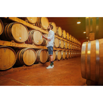 Kolorowe skarpetki - Winnica