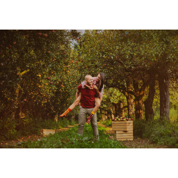 Kolorowe skarpetki - Szarlotka