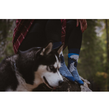 Kolorowe skarpetki - O wilku mowa