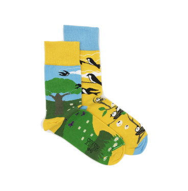 Kolorowe skarpetki - Jedna jaskółka wiosny nie czyni