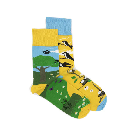 Kolorowe skarpetki - Jedna jaskółka wiosny nie czyni