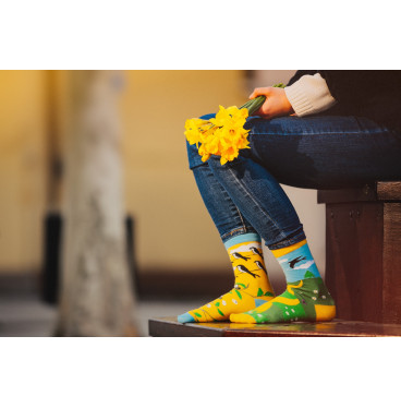 Kolorowe skarpetki - Jedna jaskółka wiosny nie czyni