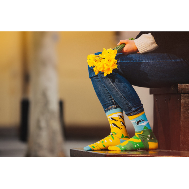 Kolorowe skarpetki - Jedna jaskółka wiosny nie czyni