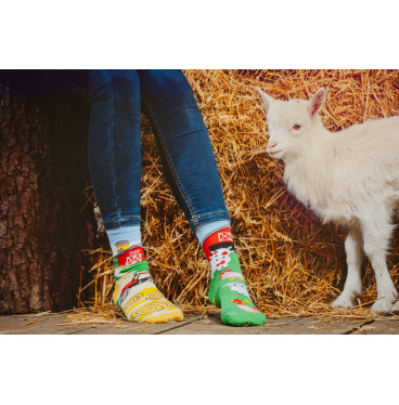 Kolorowe skarpetki - Farma