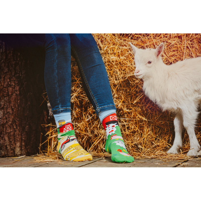 Kolorowe skarpetki - Farma Kolorowe skarpetki - Farma