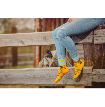 Kolorowe skarpetki - Struś