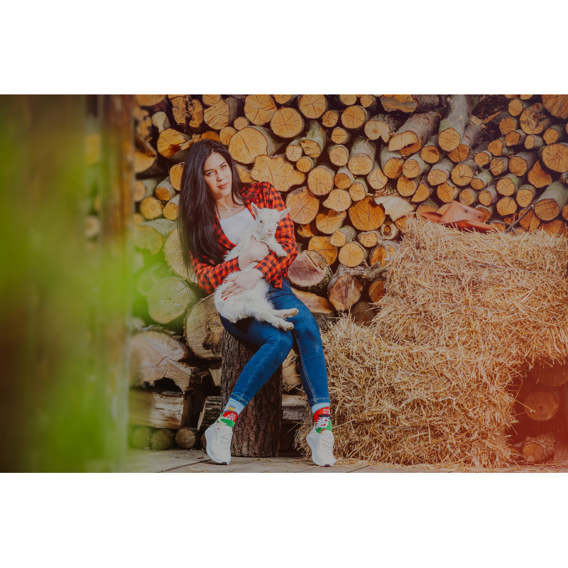 Kolorowe skarpetki - Farma Kolorowe skarpetki - Farma