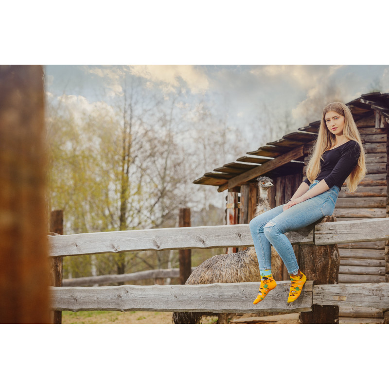 Kolorowe skarpetki - Struś Kolorowe skarpetki - Struś