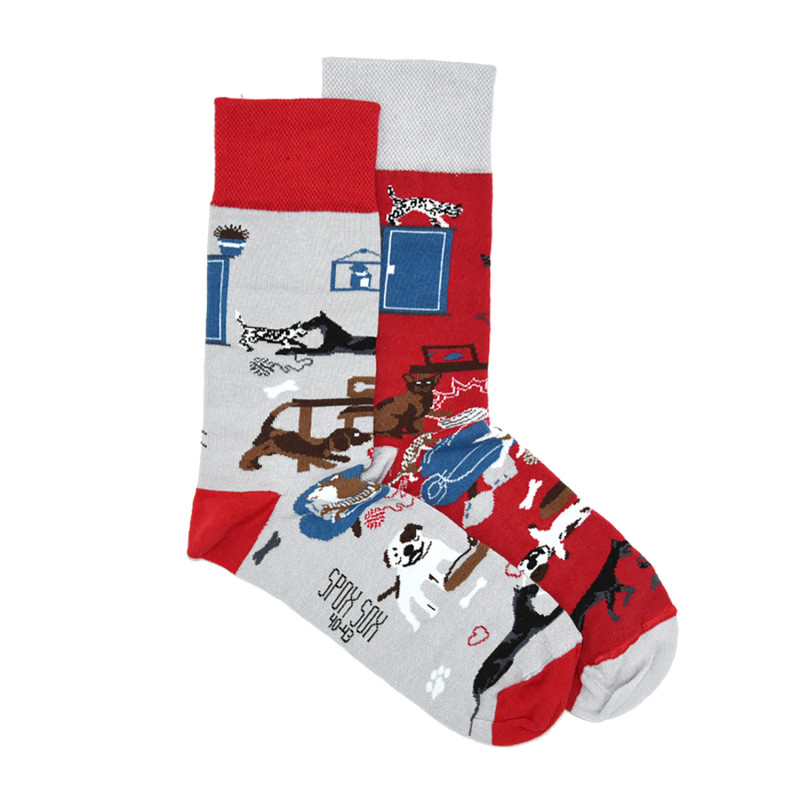 Kolorowe skarpetki - Jak pies z kotem