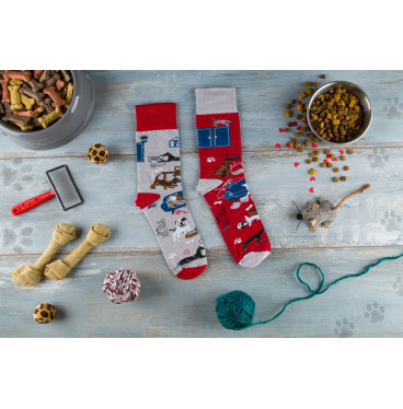 Kolorowe skarpetki - Jak pies z kotem