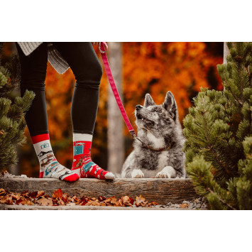 Kolorowe skarpetki - Jak pies z kotem