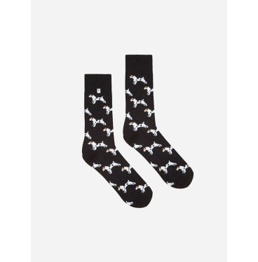 Kolorowe skarpetki - Jack Russel