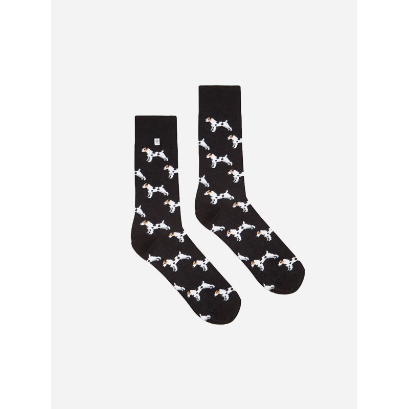 Kolorowe skarpetki - Jack Russel Kolorowe skarpetki - Jack Russel