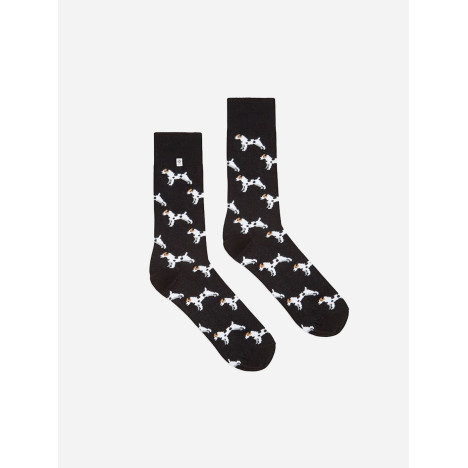 Kolorowe skarpetki - Jack Russel