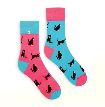 Kolorowe skarpetki - Koty