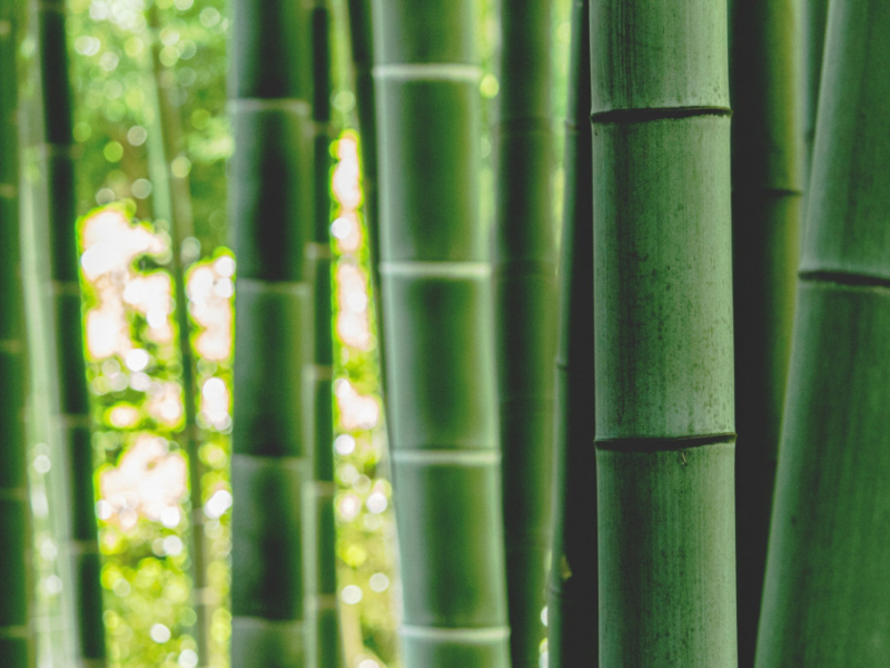 Skarpety bambusowe – wady i zalety