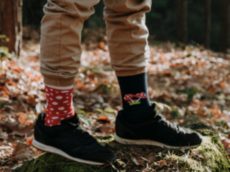 Red Mushroom – nowy hit w sklepie internetowym!