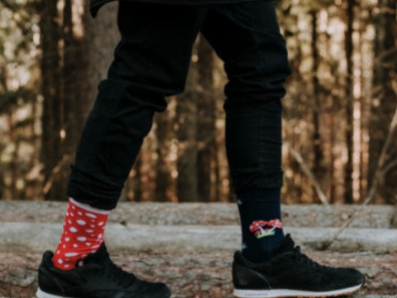 Gnomy, pingwiny i kraby - wybieramy wyjątkowe kolorowe skarpetki na jesień